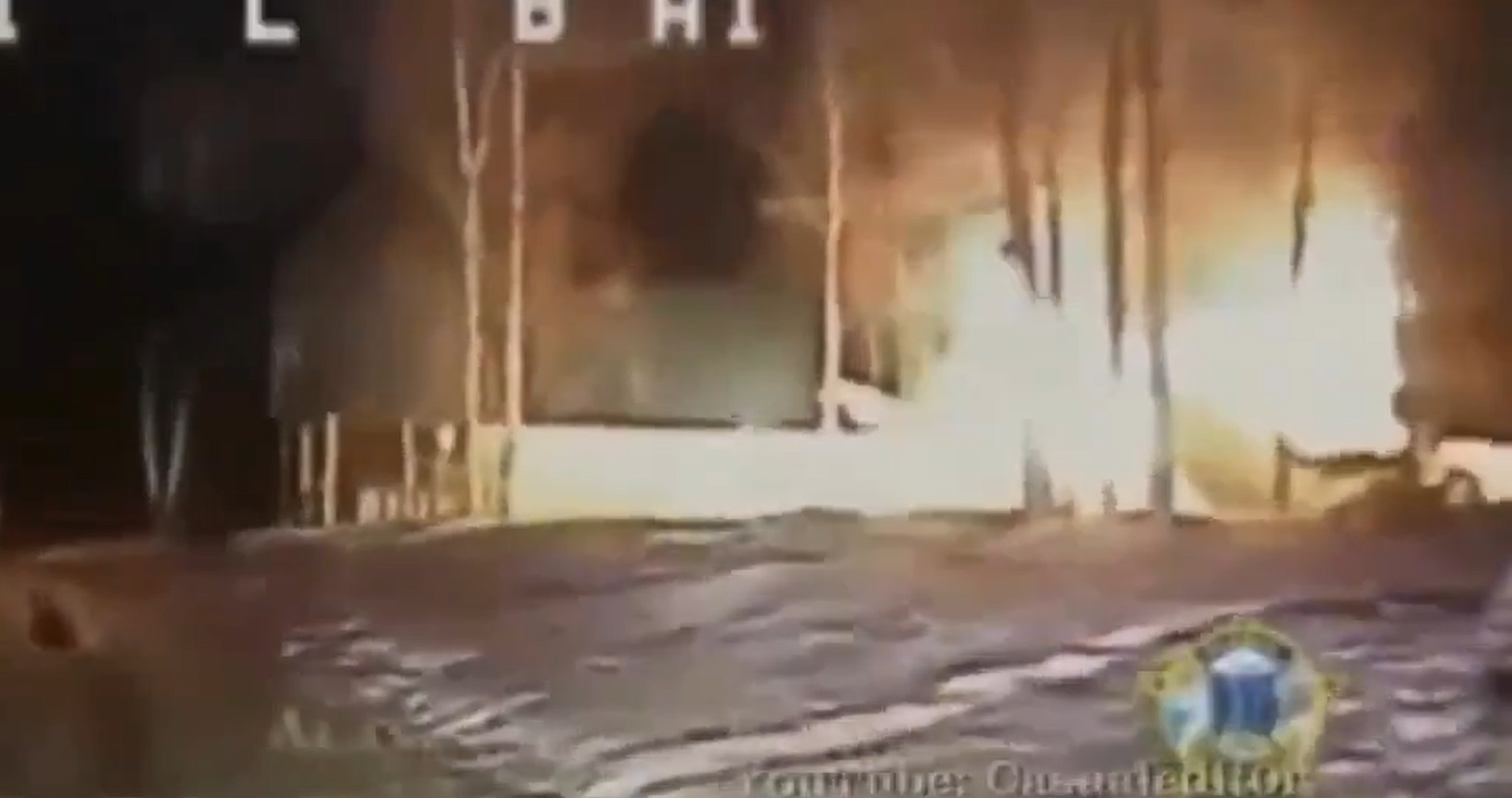 🐶 Buddy: el Pastor Alemán que guió a la policía hasta un incendio y ayudó a salvar a su familia