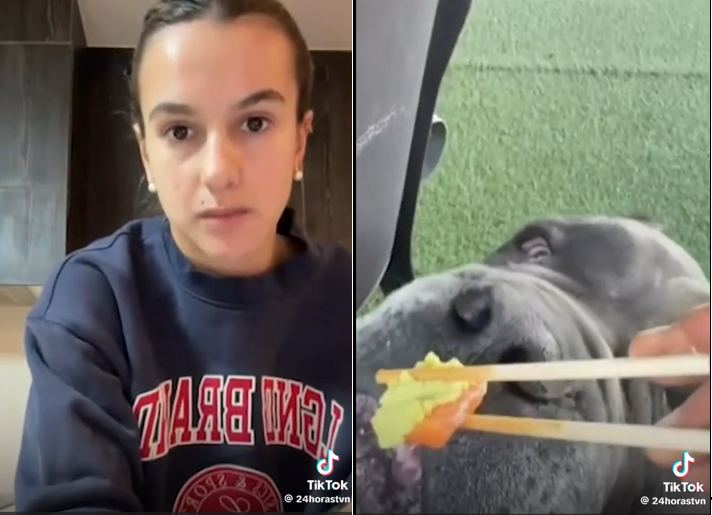 🐶 Indignación en Chile: una influencer desató la polémica tras darle wasabi a su perro