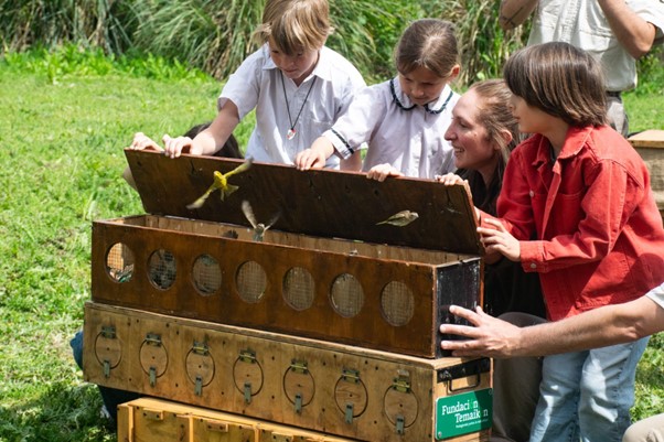 🐦 88 aves silvestres volvieron a su hogar: una liberación que deja un mensaje contra el tráfico de fauna
