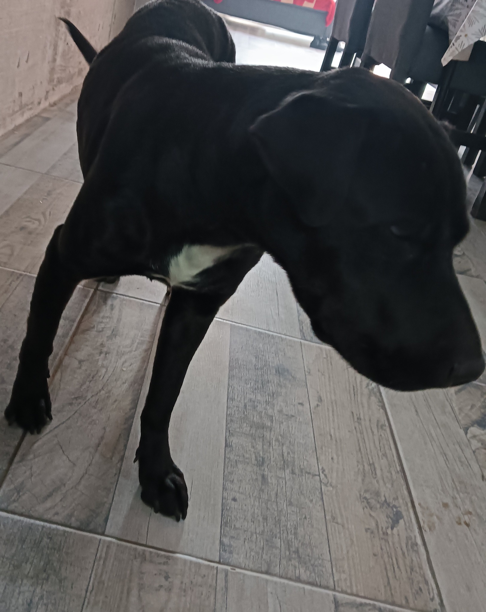 Foto de Perdido