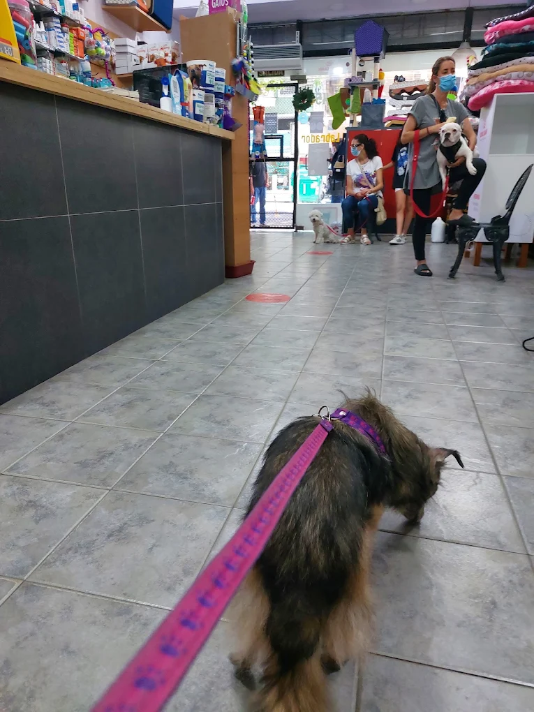 Foto secundaria de Veterinaria "Del Labrador"